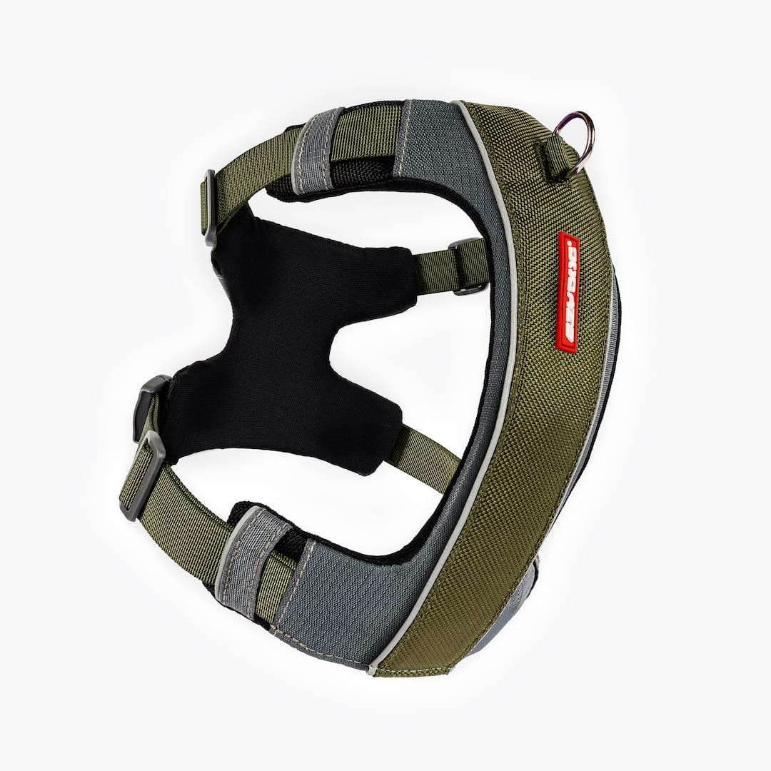 A green X-Link Dog Harness front angle on white background