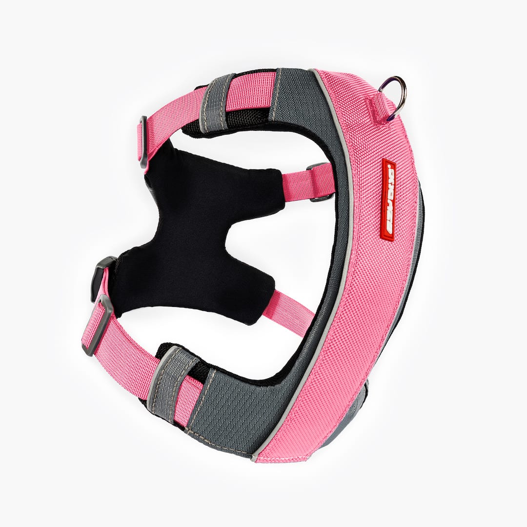X-Link™ Dog Harness
