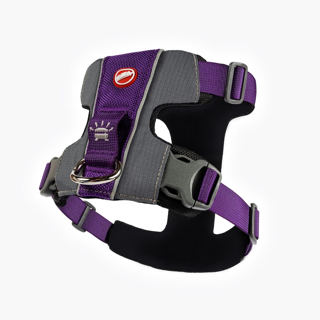 X-Link™ Dog Harness