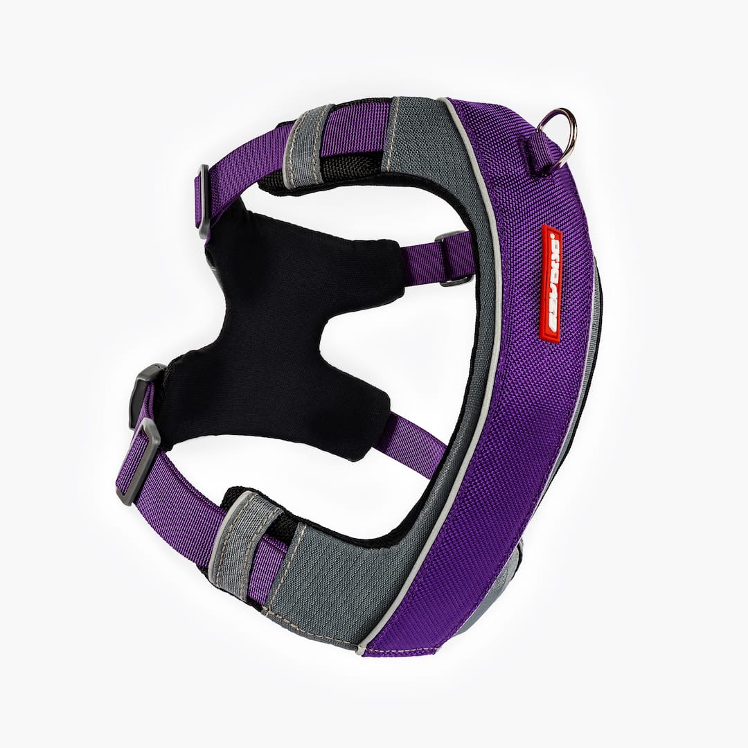 X-Link™ Dog Harness