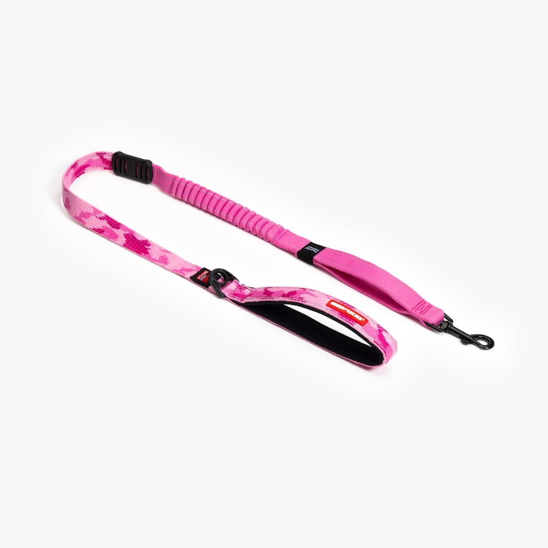 Pink camouflage dog leash on a white background