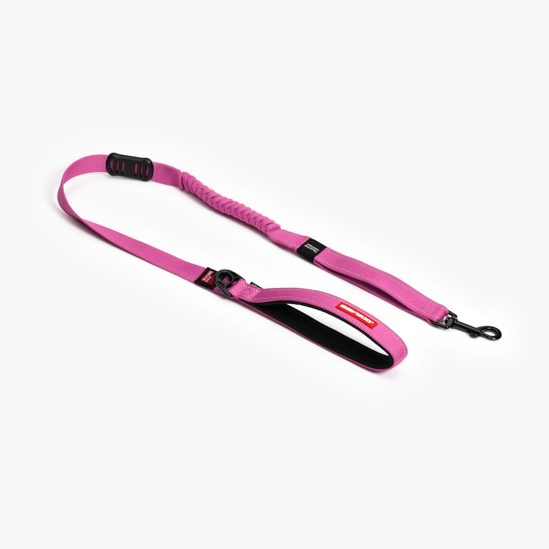 Pink dog leash with black hardware on a white background
