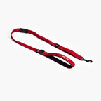 Zero Shock™ Leash