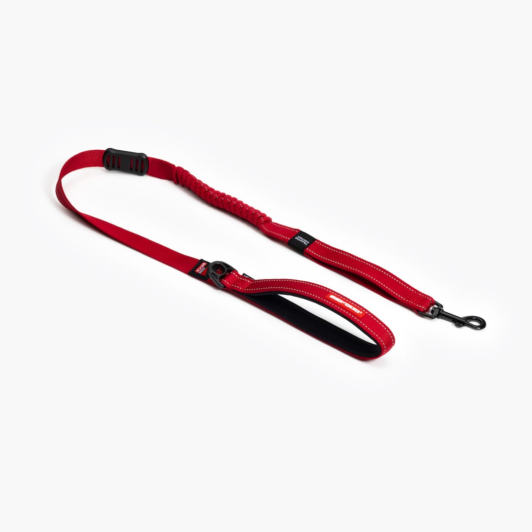 Zero Shock™ Leash