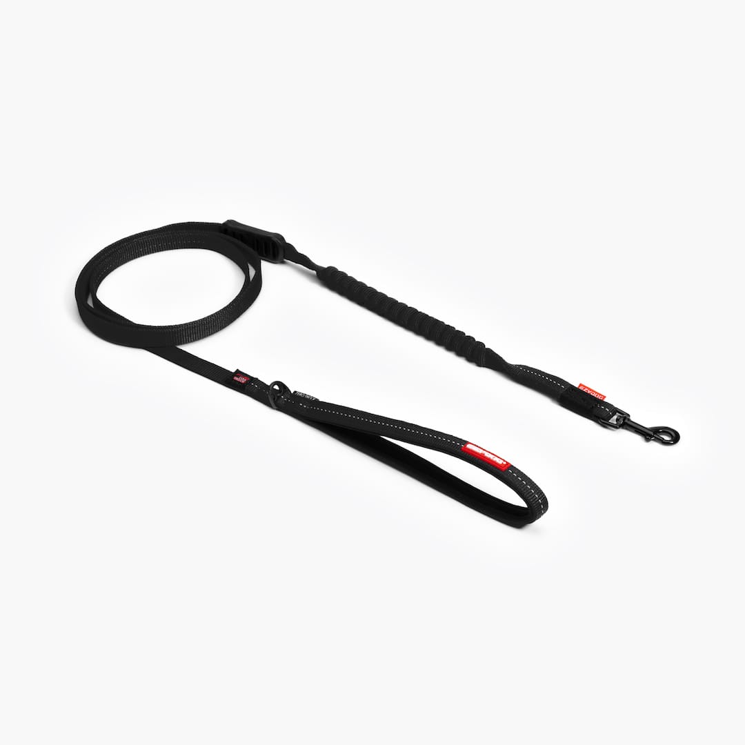 Zero Shock™ Lite Leash for Small Breeds