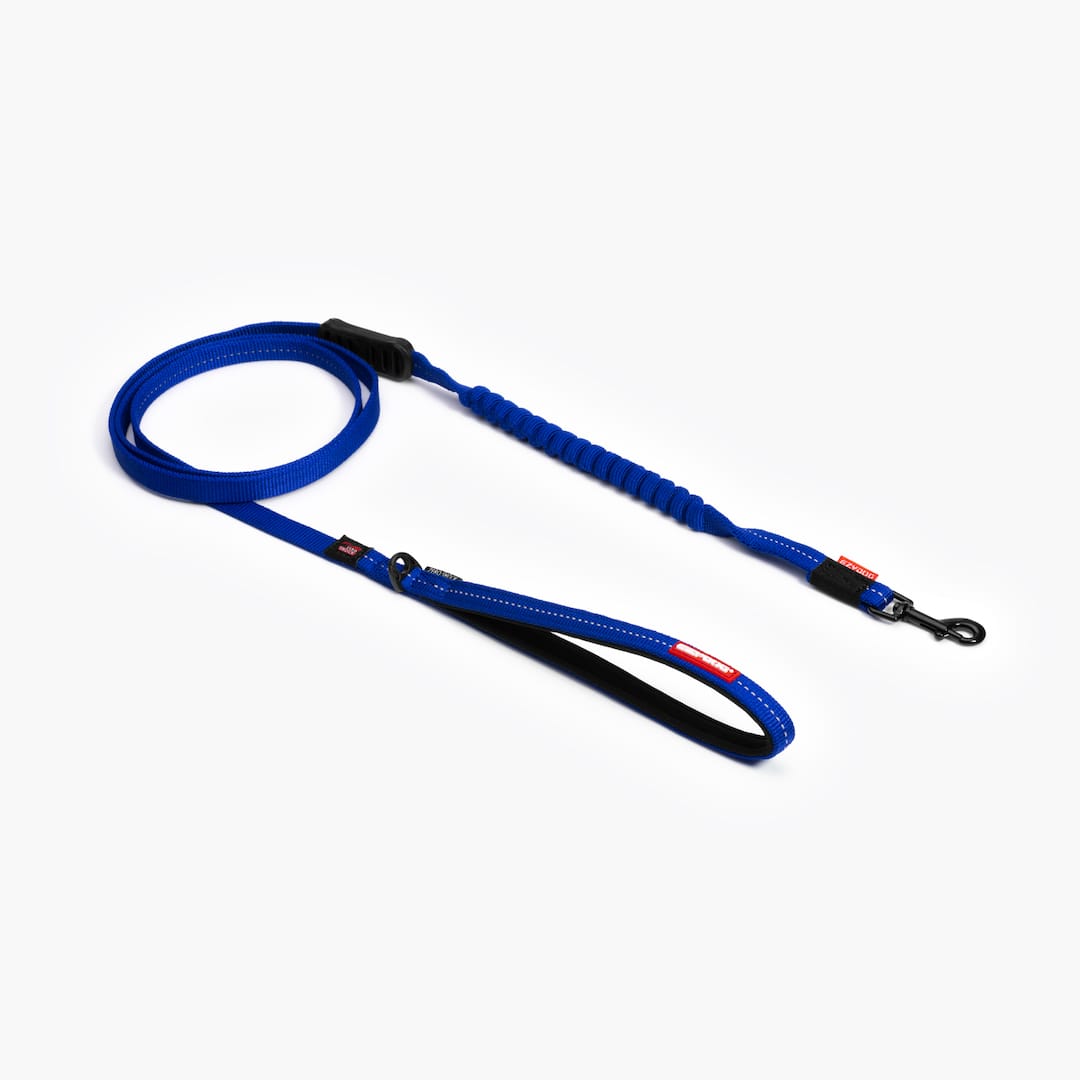 Zero Shock™ Lite Leash Small Breeds