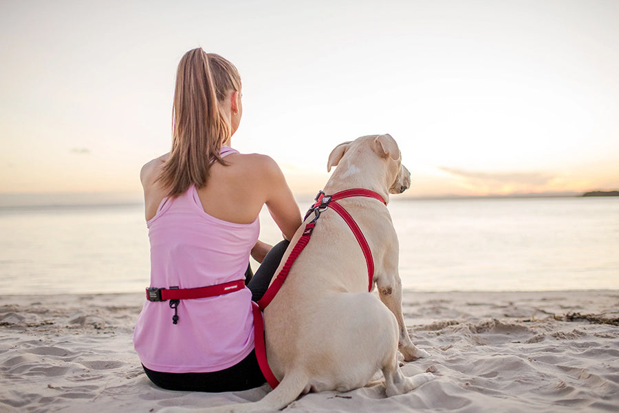Woman and dog sitting on a beach at sunset