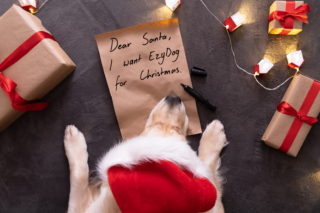 a dog wearing a santa hat writing on a note tht all they want for christmas is ezydog