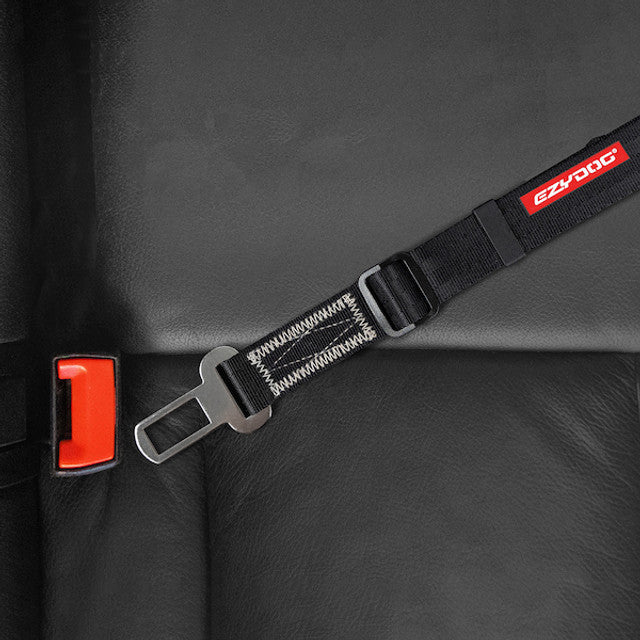 Click™ Adjustable Car Restraint