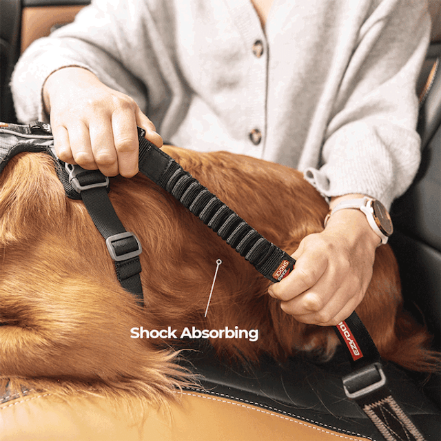 Click™ Zero Shock