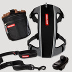 Dog training equipment including a harness, leash, and clicker on a light gray background.