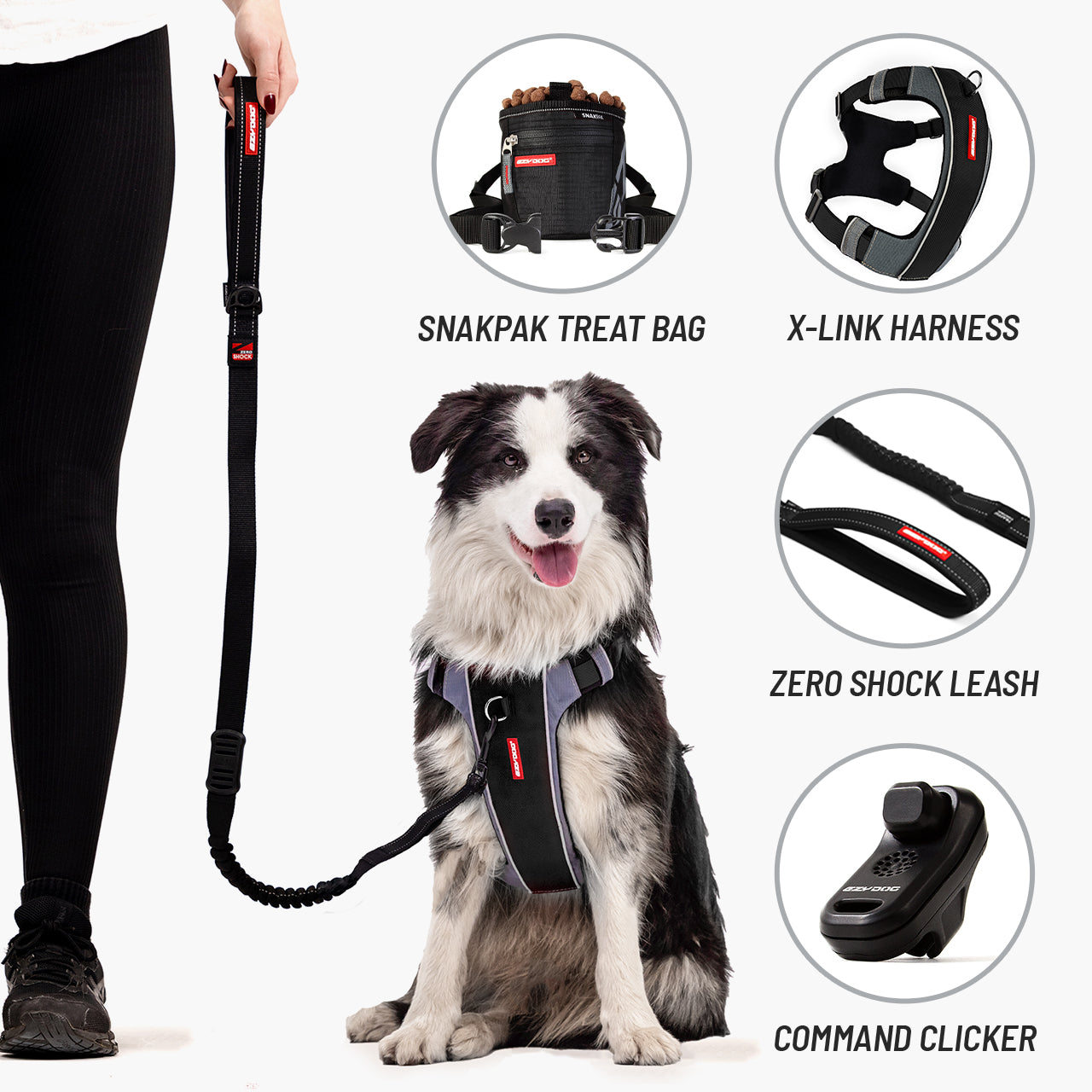 Dog Training Kit – Sit Stay Come | EzyDog X-Link & Zero Shock