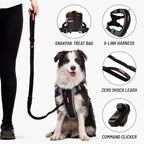Dog with pet accessories including a snakpak treat bag, x-link harness, zero shock leash, and command clicker.