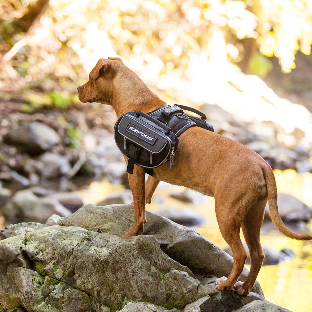 Convert™ Saddle Bags