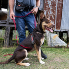 Person walking a dog on a leash in an outdoor setting with rustic background