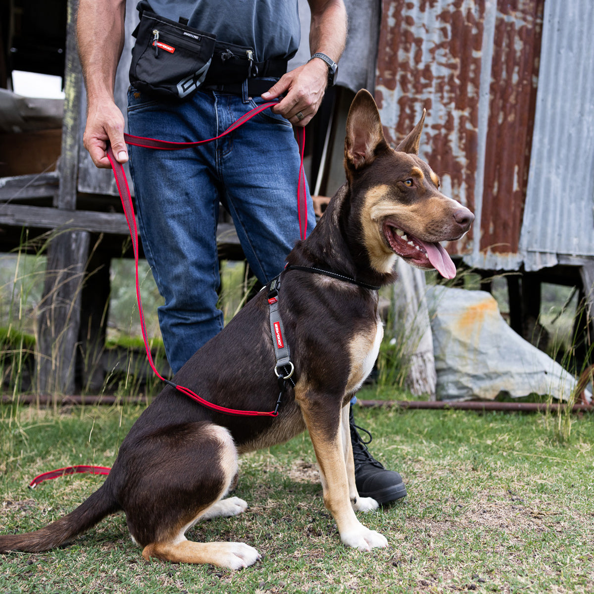 Person walking a dog on a leash in an outdoor setting with rustic background