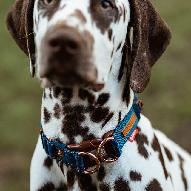 Denim - Double Up™ Collar