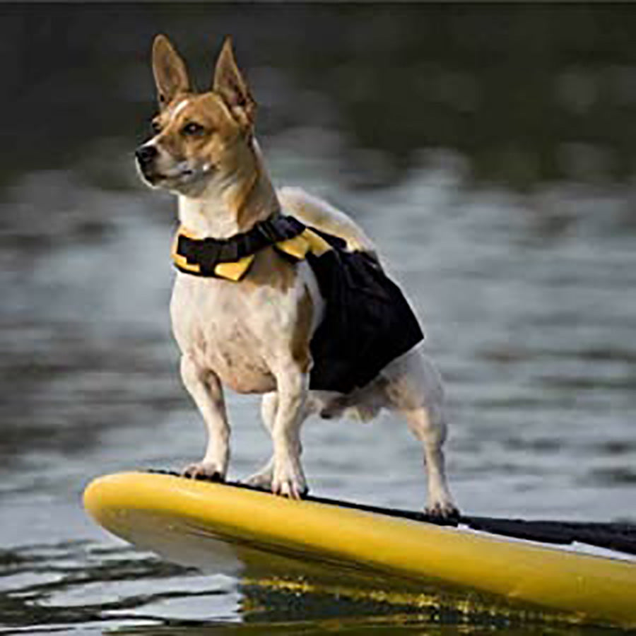 Dog on a yellow surfboard with a life jacket in water