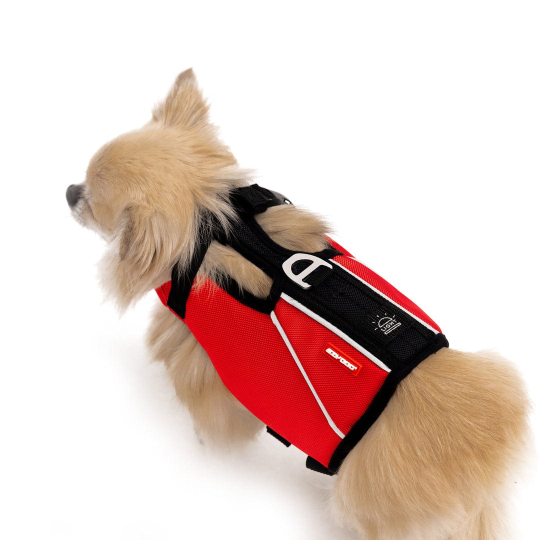 dog wearing red dfd x2 boost life jacket back view