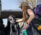 Woman with a dog in a car, preparing to hike