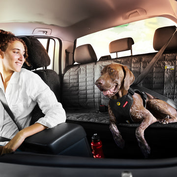 Dog Car Seat Cover Back Seat Dog Cover
