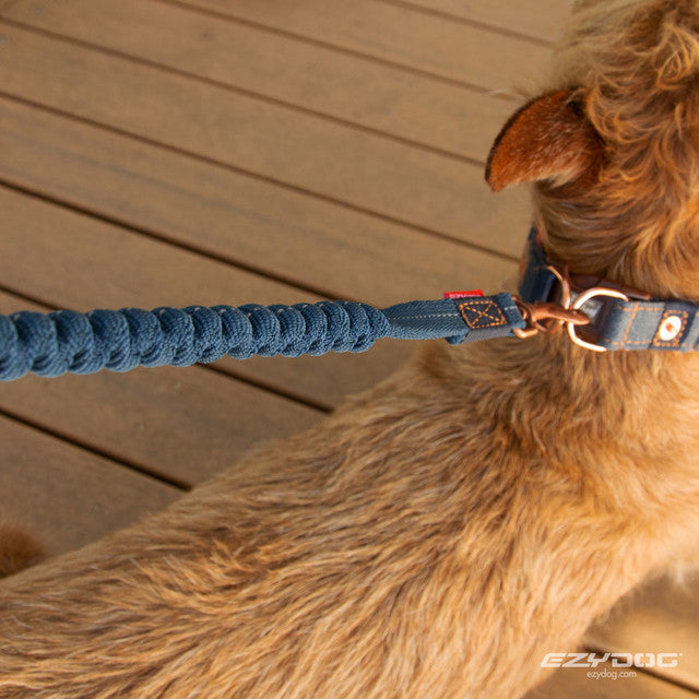 Denim - Zero Shock™ Lite Leash
