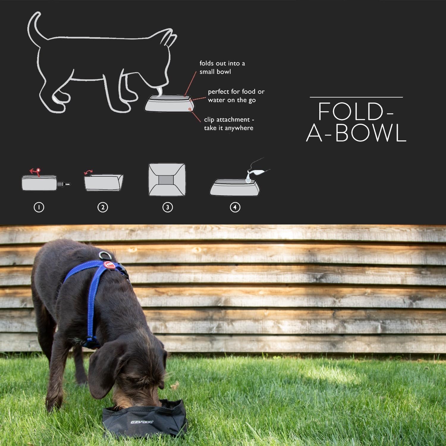 Dog using a portable water bowl with instructions on how to use 'Fold-A-Bowl' on a black background.