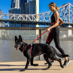 Woman walking a black dog on a leash with a cityscape and bridge in the background