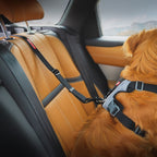 Click™ ISOFIX