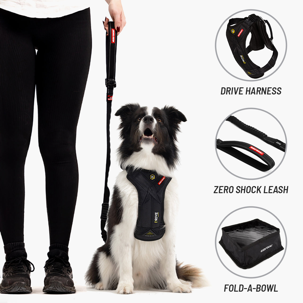 Dog Travel Bundle – Let's Go for a Ride | Drive Harness & Zero