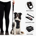 Dog wearing a harness with a leash, and images of a drive harness, zero shock leash, and fold-a-bowl on a white background.