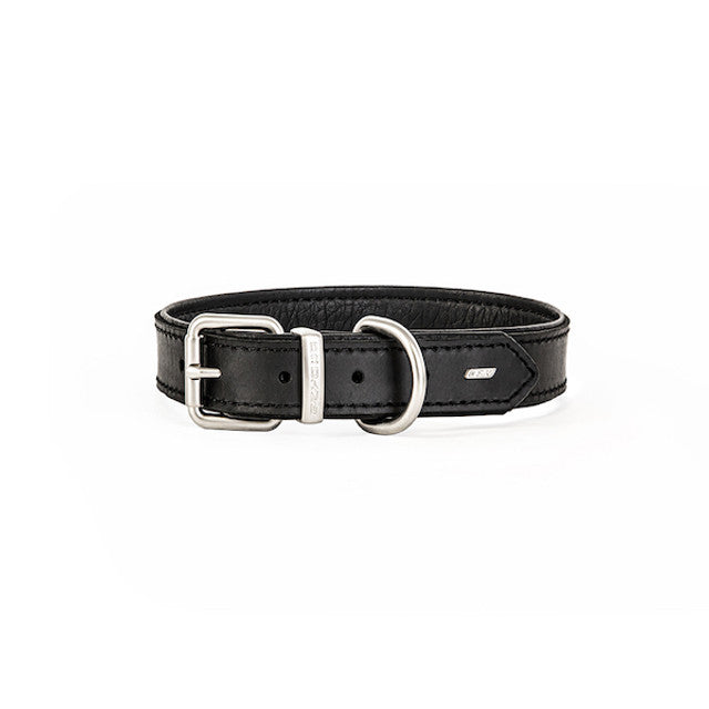 Oxford Leather - Classic Collar