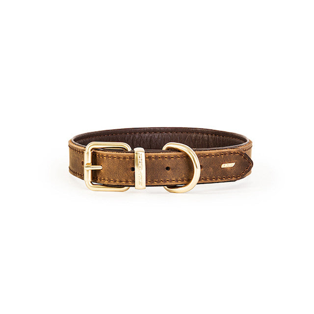 Oxford Leather - Classic Collar