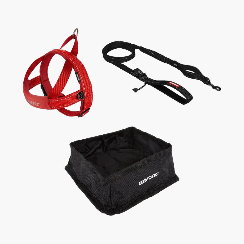 Red dog harness, black leash, and black dog bowl on a white background