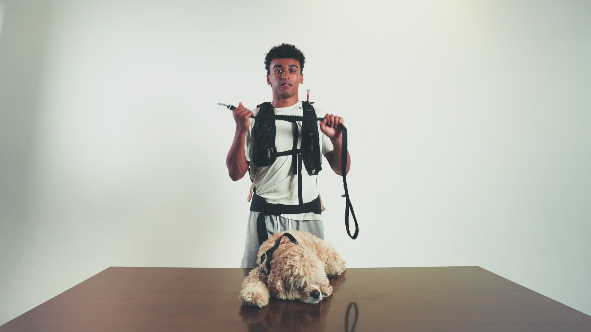 Zero Shock leash demo