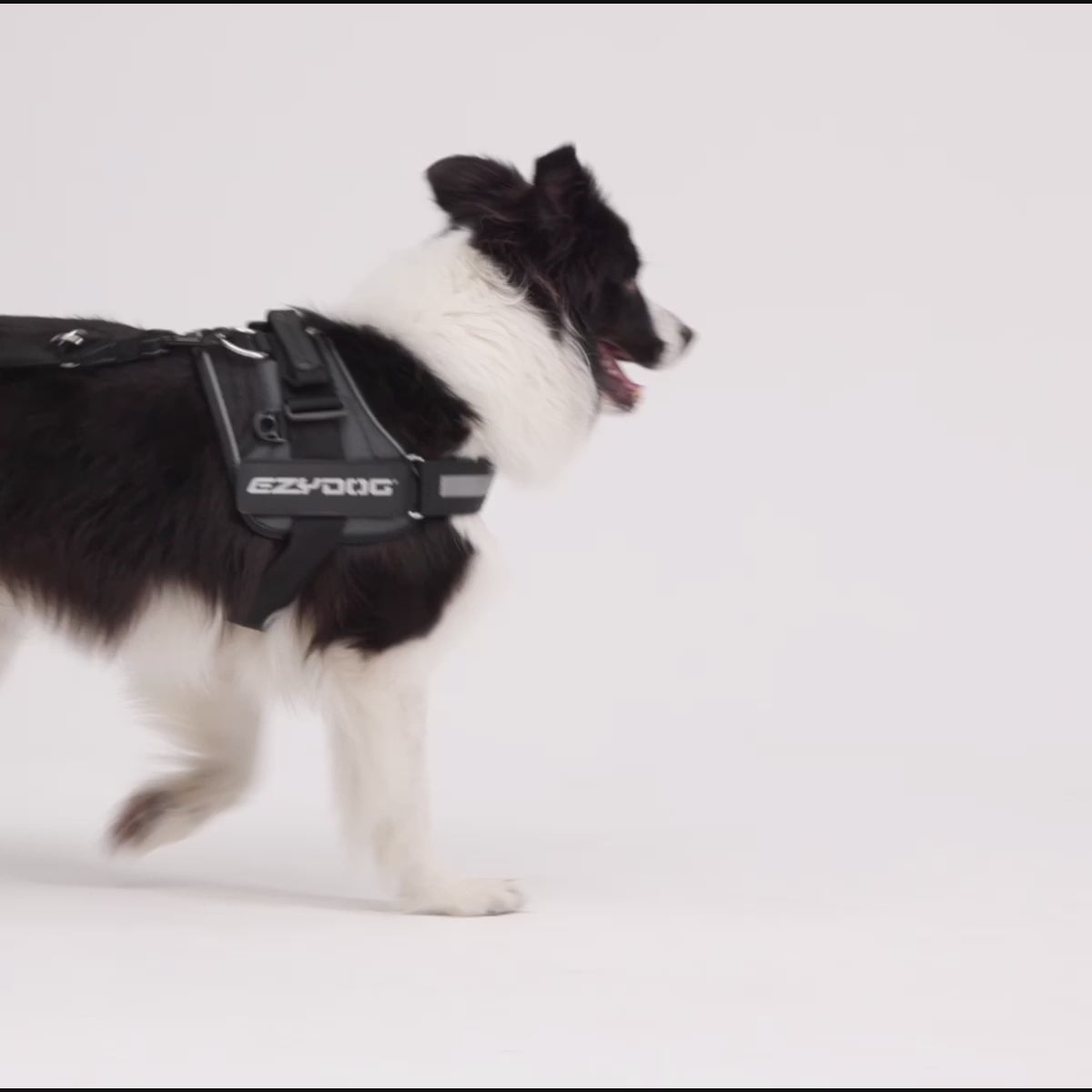 Vario 4™ Multi-Function Leash