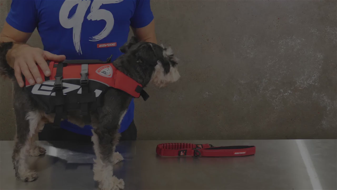 How to use the DFD