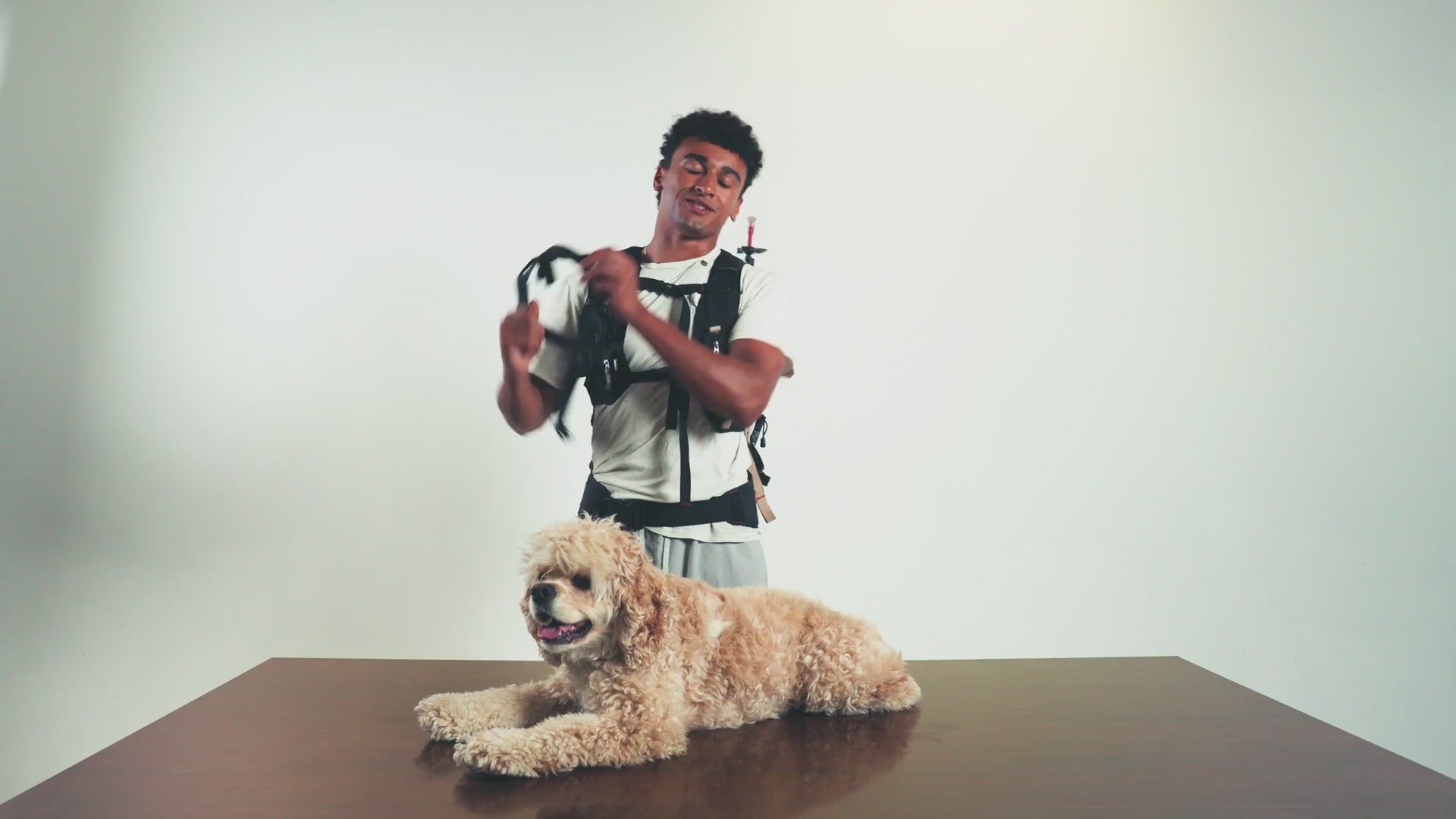 Quick Fit Harness demo