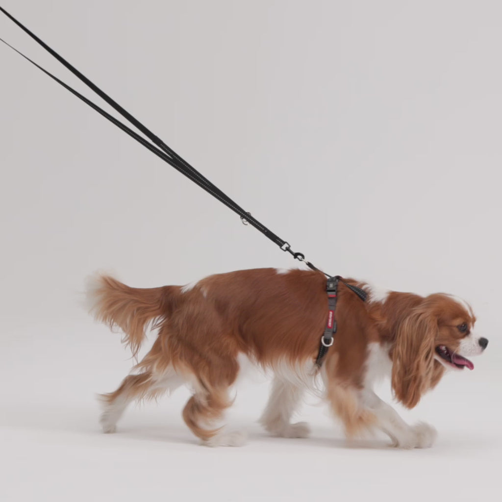 Vario 4™ Multi-Function Leash