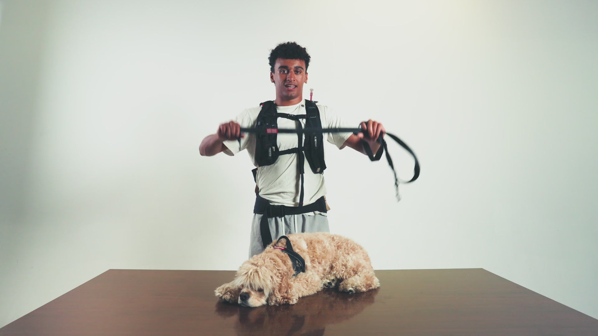 Road Runner leash demo