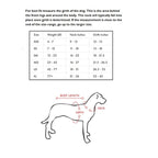 Quick Fit™ Dog Harness