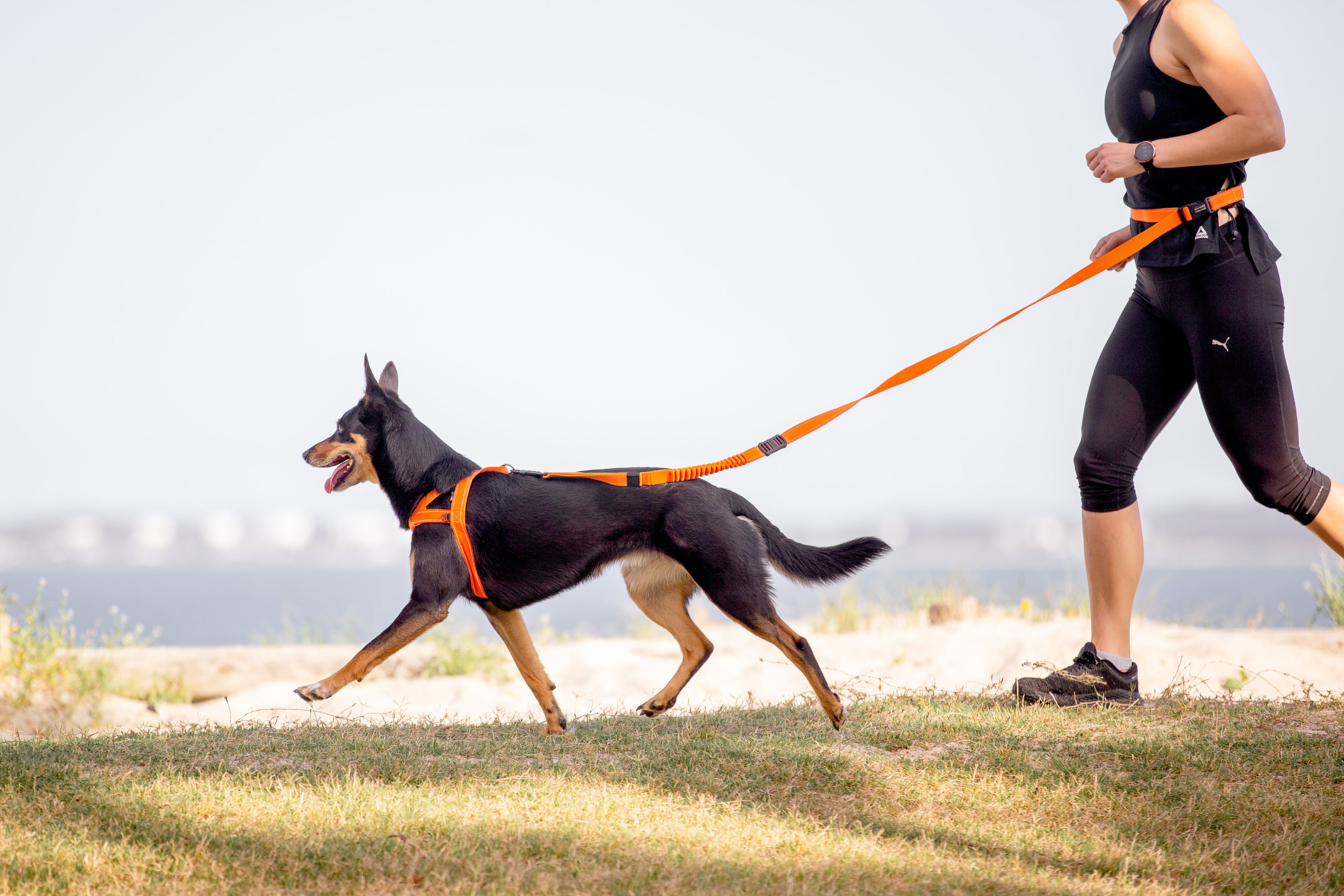 Person running with a dog on a leash by a body of water