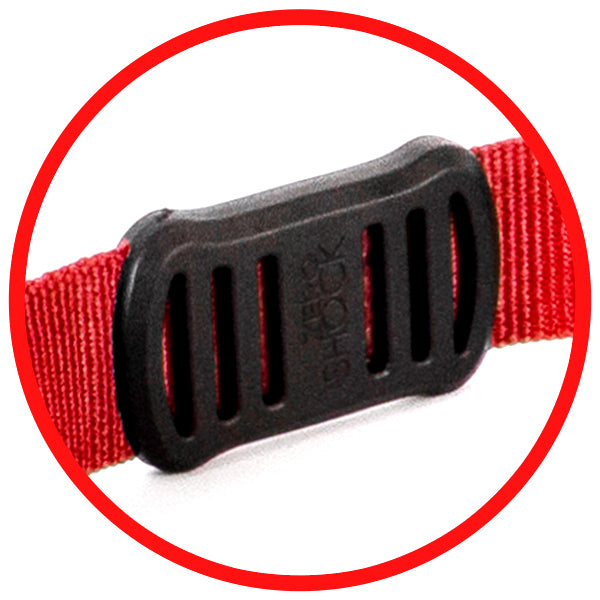 Red dog collar with a black plastic buckle on a white background