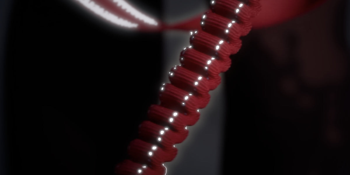 Close-up of reflective stitching on a red Zero Shock dog leash at night