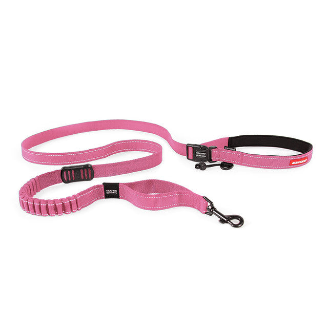 Road Runner™ Leash
