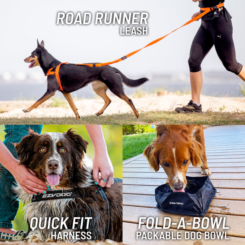 Collage of dog products including a leash, harness, and bowl with text labels.