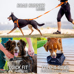 Collage of dog products including a leash, harness, and bowl with text labels.