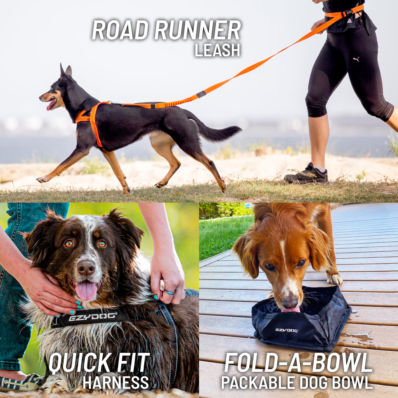Collage of dog products including a leash, harness, and bowl with text labels.
