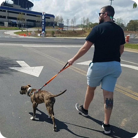Man walking a dog on a leash in an open area with a building in the background