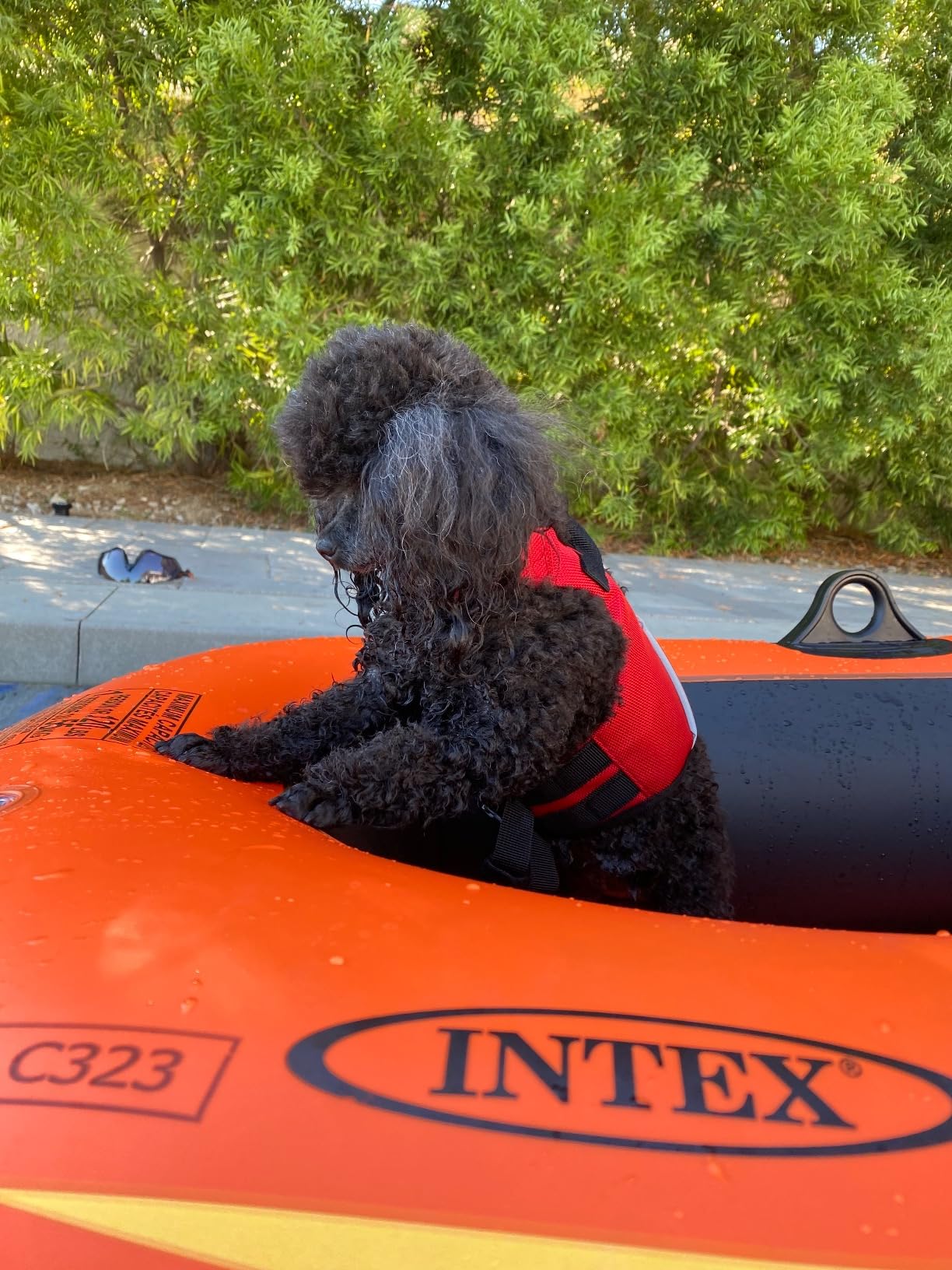 Dog in a red life jacket sitting on an orange Intex inflatable boat with trees in the background.